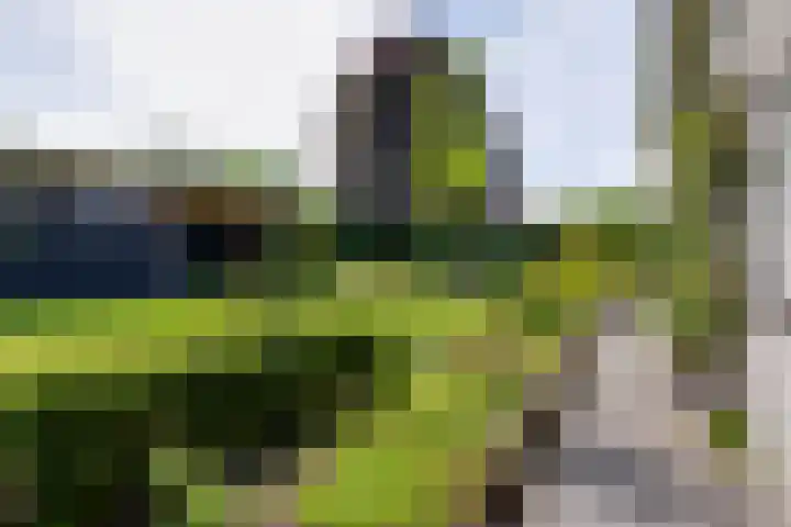 Koninginnelaan 10 Doetinchem thumbnail 80
