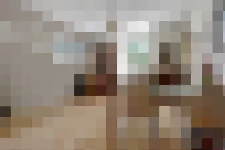 Koninginnelaan 101 Nijmegen thumbnail 11