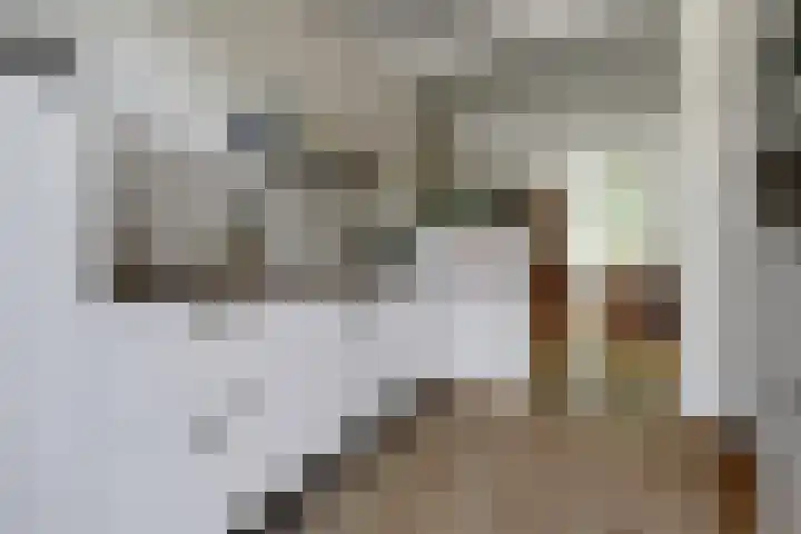 Koninginnelaan 101 Nijmegen thumbnail 16