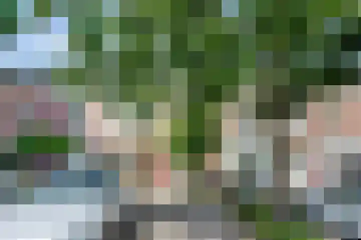 Koninginnelaan 101 Nijmegen thumbnail 35