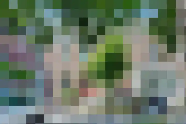Koninginnelaan 101 Nijmegen thumbnail 36