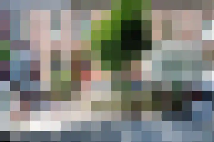 Koninginnelaan 101 Nijmegen thumbnail 38