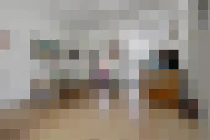 Koninginnelaan 101 Nijmegen thumbnail 6