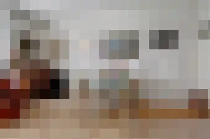 Koninginnelaan 101 Nijmegen thumbnail 9