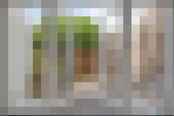 Koninginnelaan 103 Nijmegen thumbnail 10
