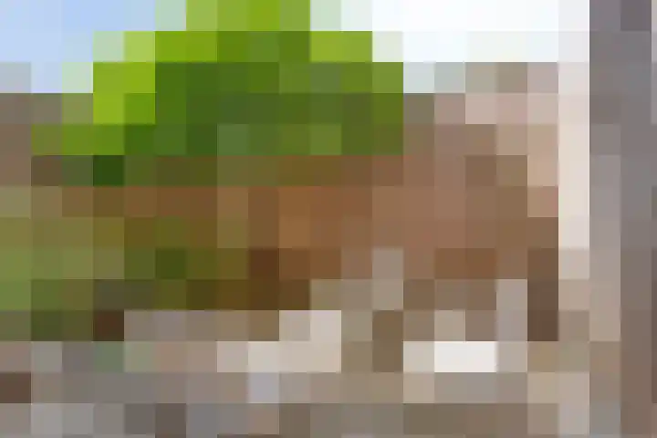 Koninginnelaan 103 Nijmegen thumbnail 12