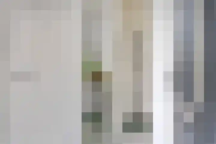 Koninginnelaan 103 Nijmegen thumbnail 4