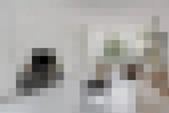 Koninginnelaan 103 Nijmegen thumbnail 5