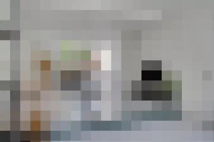 Koninginnelaan 103 Nijmegen thumbnail 7