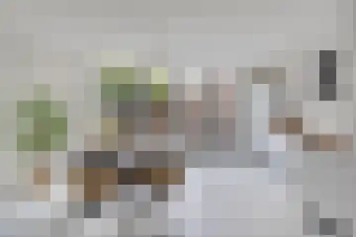 Koninginnelaan 103 Nijmegen thumbnail 8