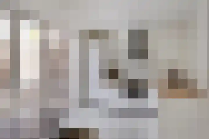 Koninginnelaan 103 Nijmegen thumbnail 9