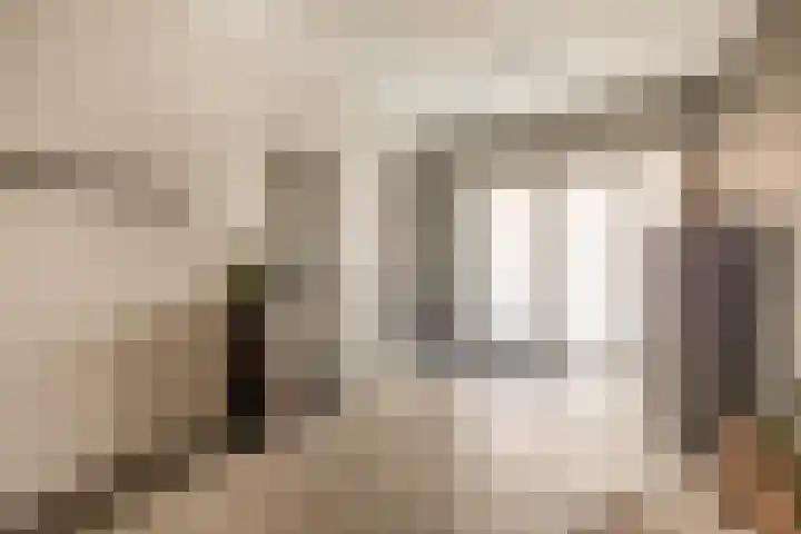 Koninginnelaan 107 Sint-Oedenrode thumbnail 20