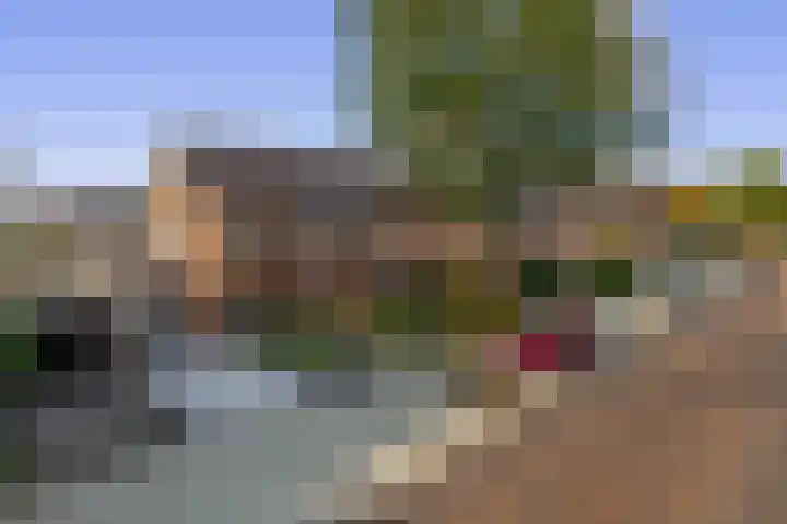 Koninginnelaan 107 Sint-Oedenrode thumbnail 35