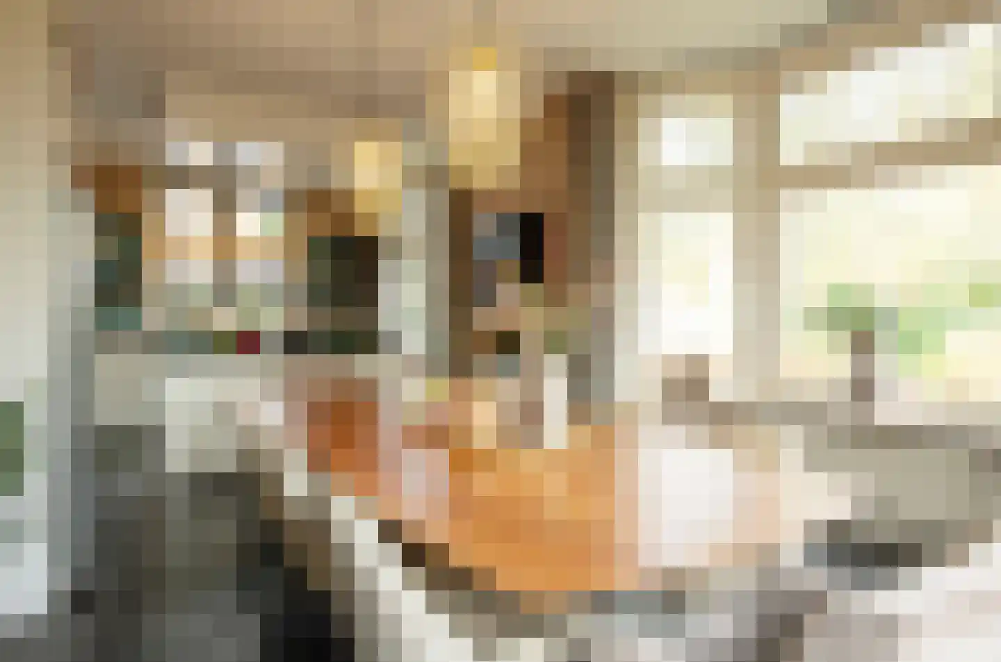 Koninginnelaan 12 Voorthuizen thumbnail 10