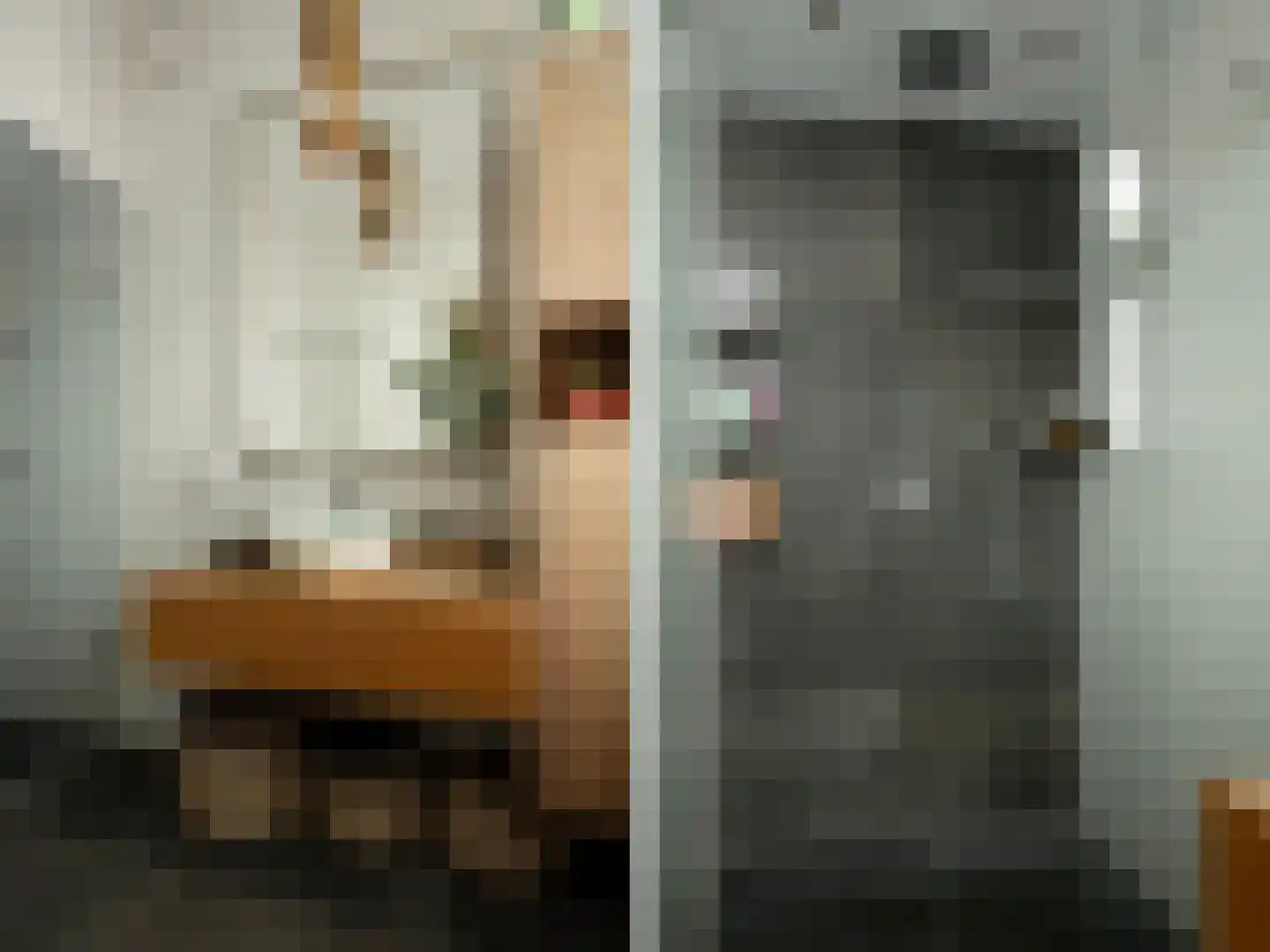 Koninginnelaan 12 Voorthuizen thumbnail 13