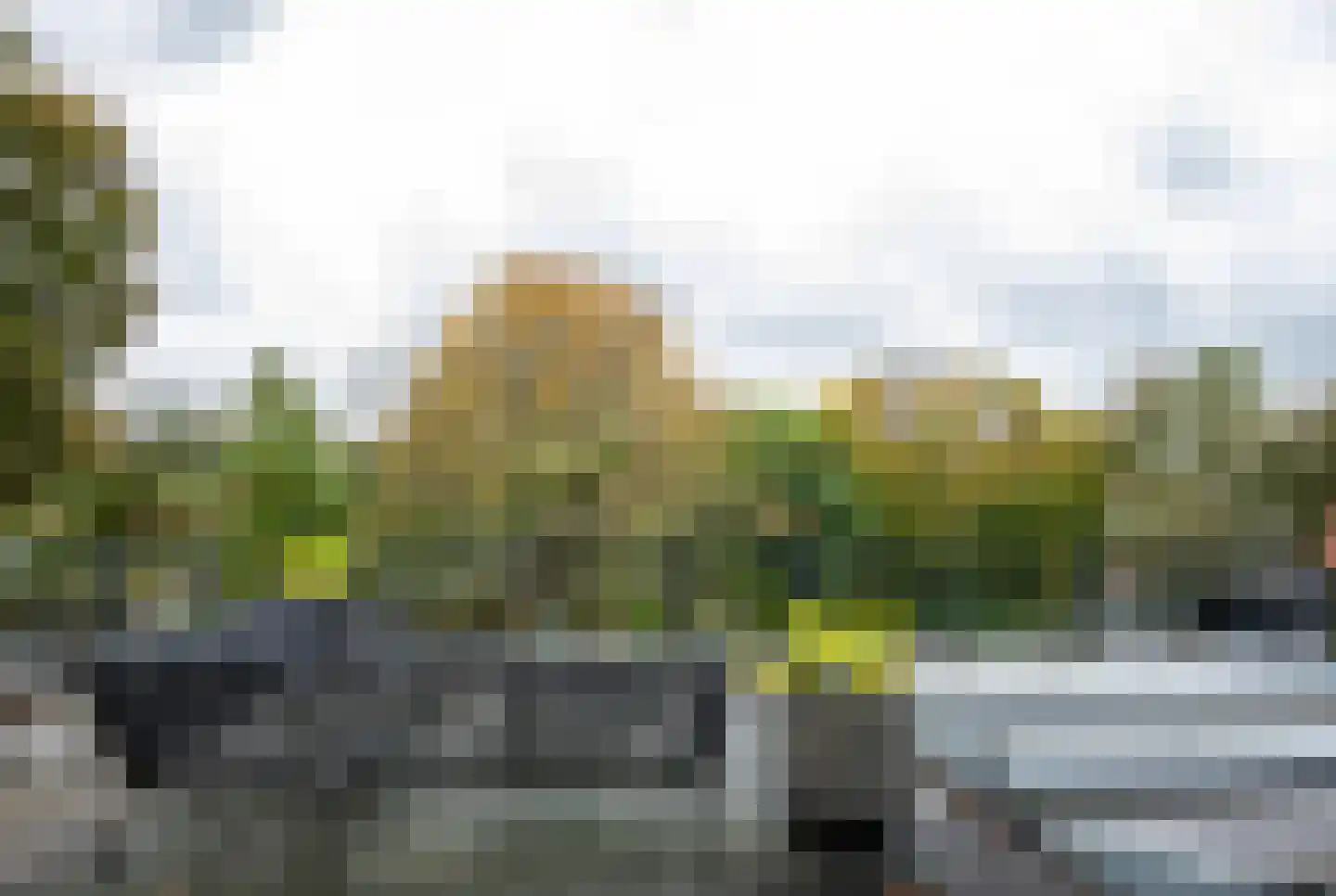 Koninginnelaan 12 Voorthuizen thumbnail 17