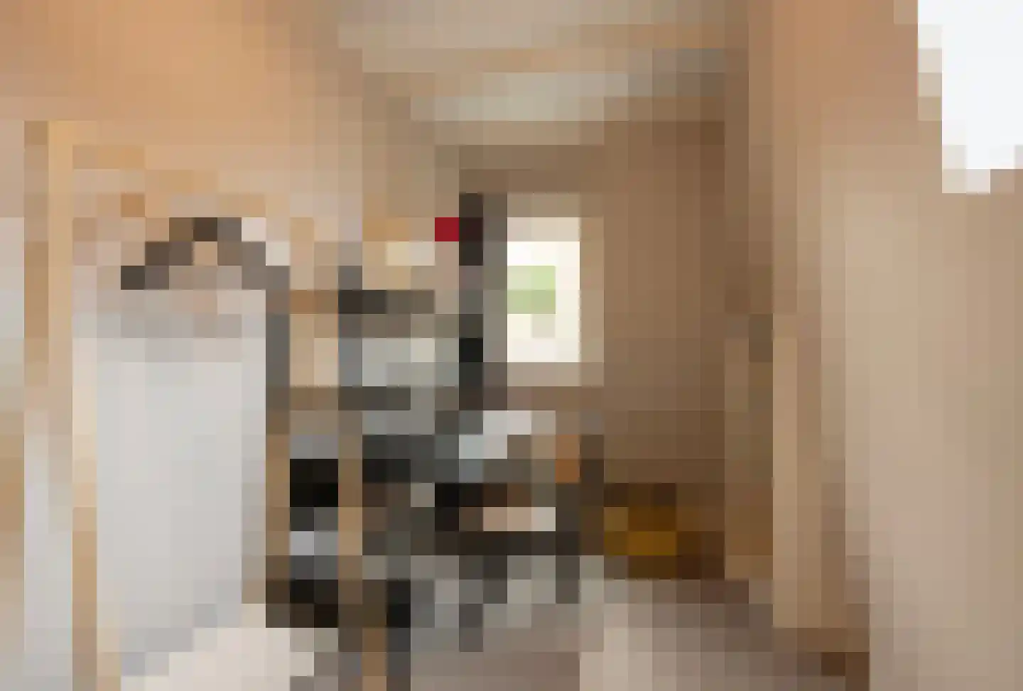 Koninginnelaan 12 Voorthuizen thumbnail 21