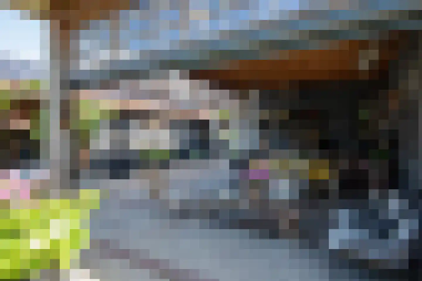 Koninginnelaan 12 Voorthuizen thumbnail 25