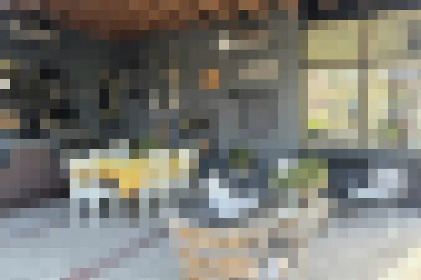 Koninginnelaan 12 Voorthuizen thumbnail 26