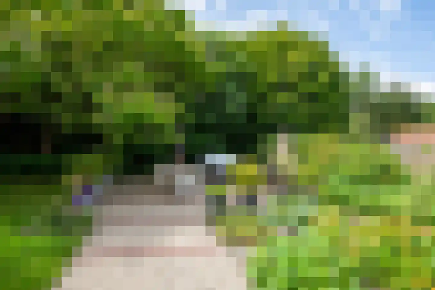 Koninginnelaan 12 Voorthuizen thumbnail 29