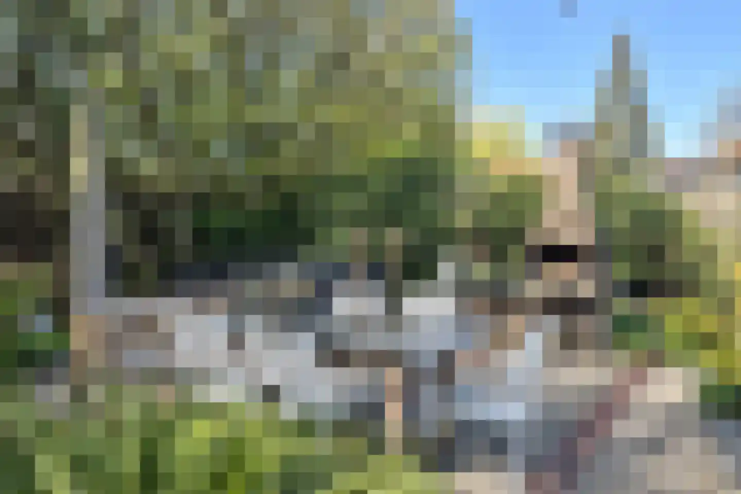 Koninginnelaan 12 Voorthuizen thumbnail 30