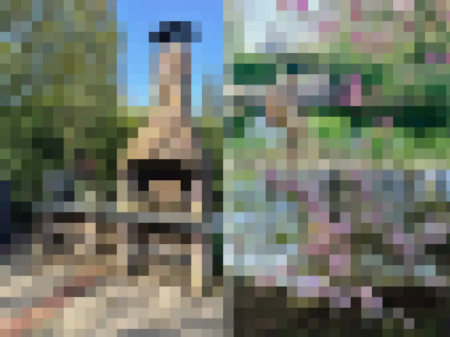 Koninginnelaan 12 Voorthuizen thumbnail 31