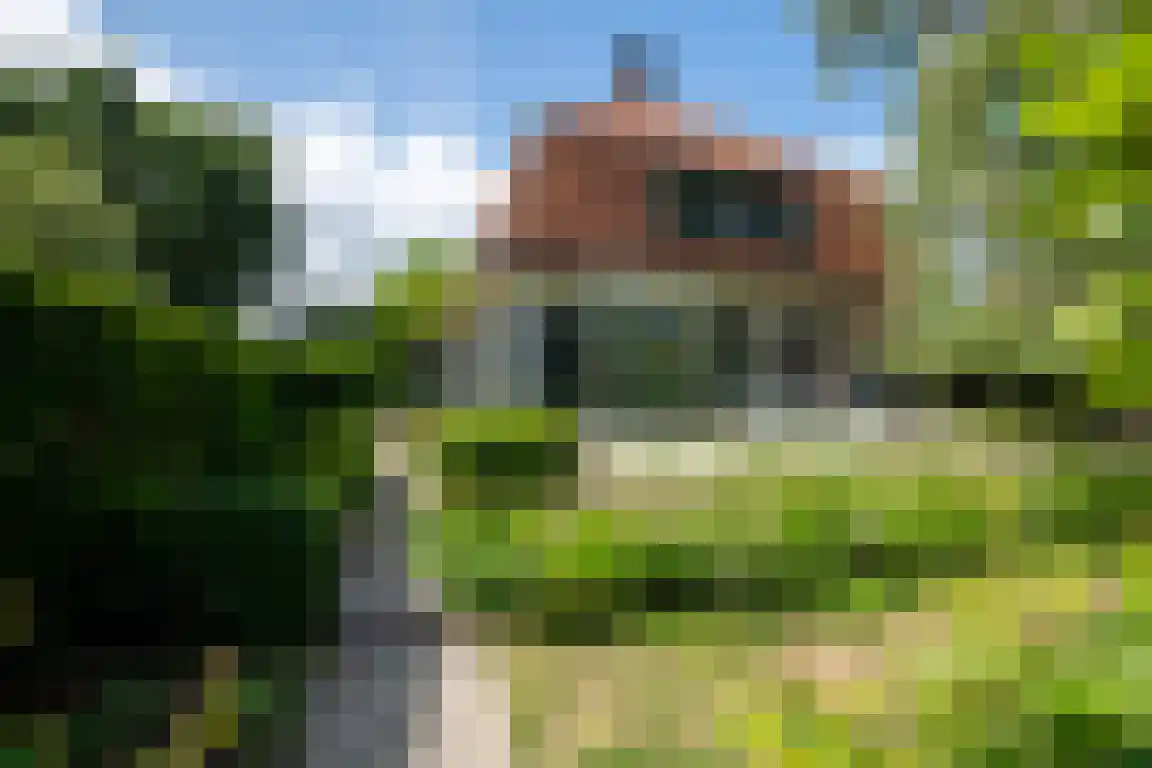 Koninginnelaan 12 Voorthuizen thumbnail 32