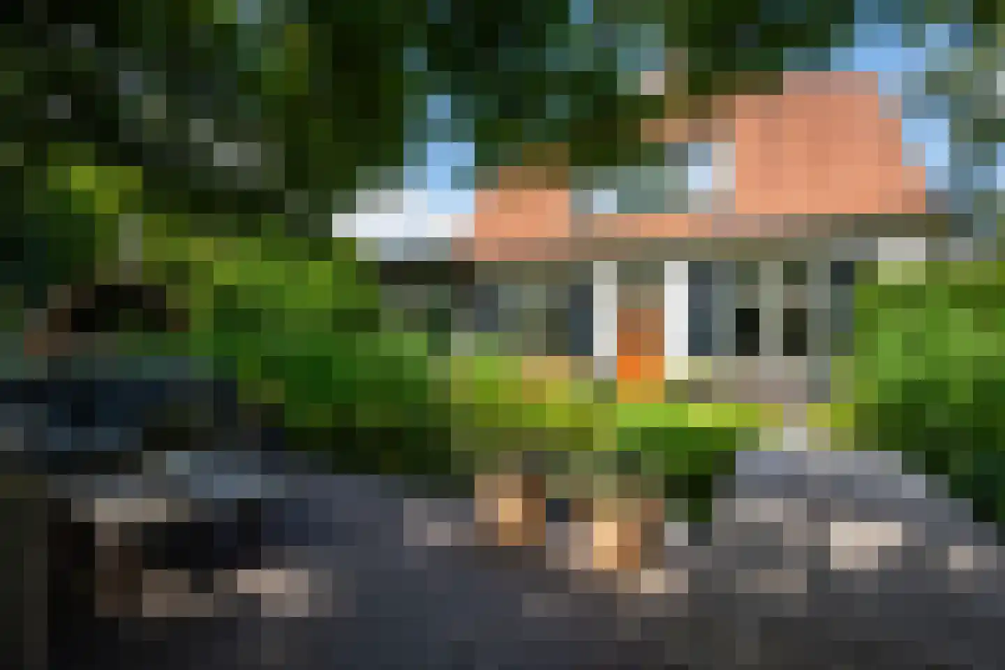 Koninginnelaan 12 Voorthuizen thumbnail 33