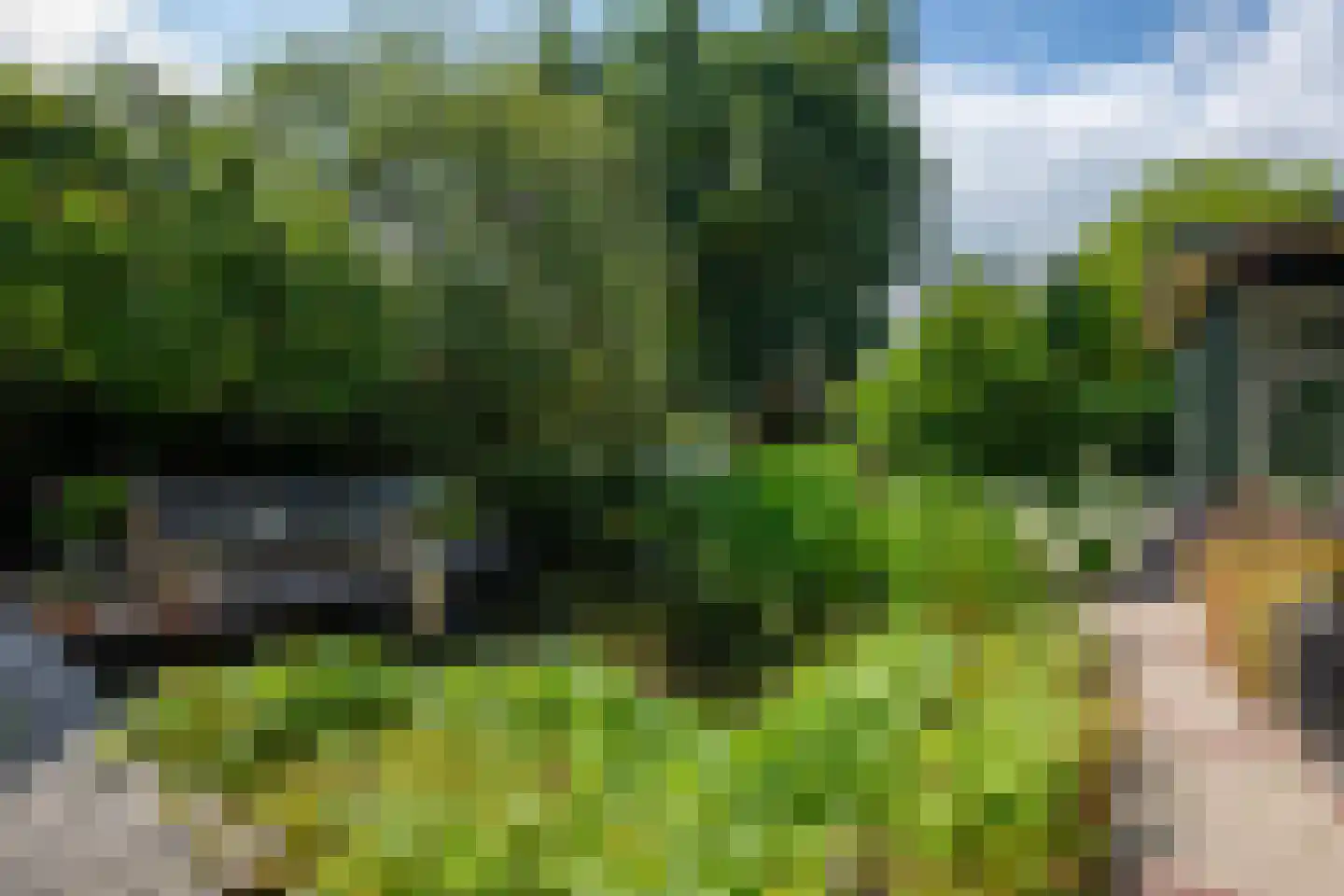 Koninginnelaan 12 Voorthuizen thumbnail 34