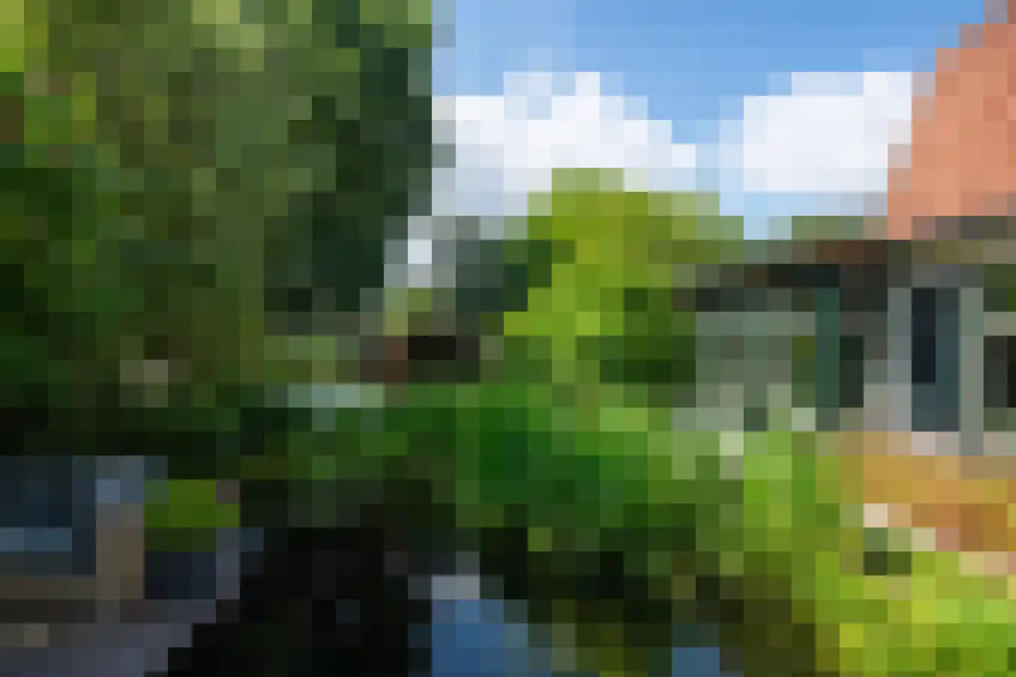Koninginnelaan 12 Voorthuizen thumbnail 35