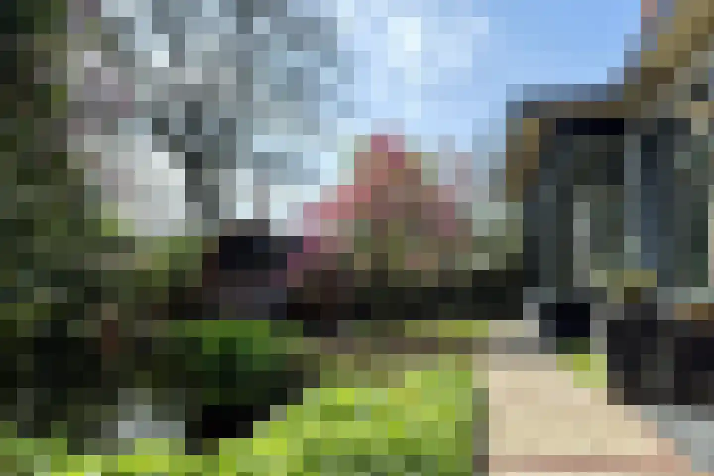 Koninginnelaan 12 Voorthuizen thumbnail 37