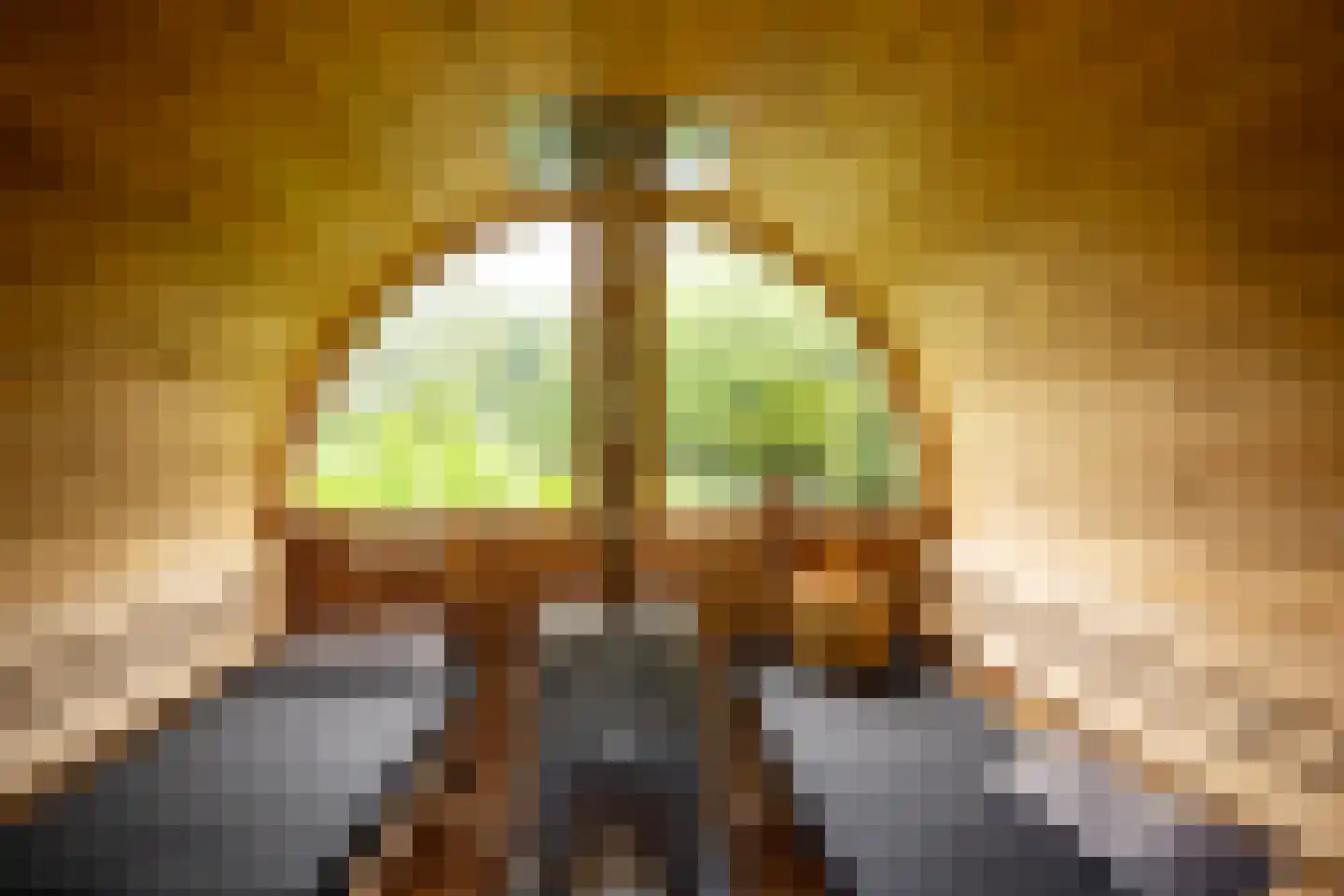 Koninginnelaan 12 Voorthuizen thumbnail 38