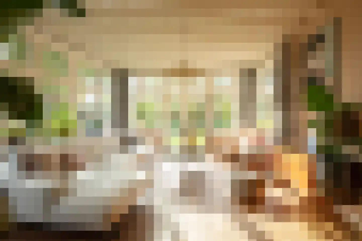 Koninginnelaan 12 Voorthuizen thumbnail 4