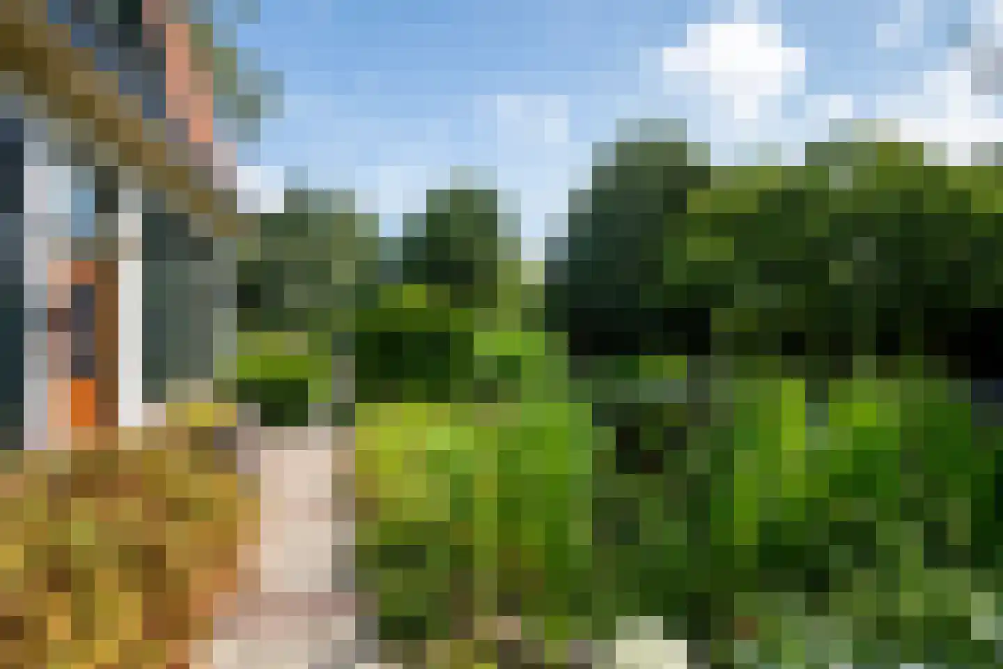 Koninginnelaan 12 Voorthuizen thumbnail 40