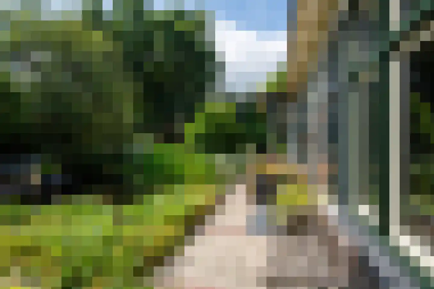 Koninginnelaan 12 Voorthuizen thumbnail 41