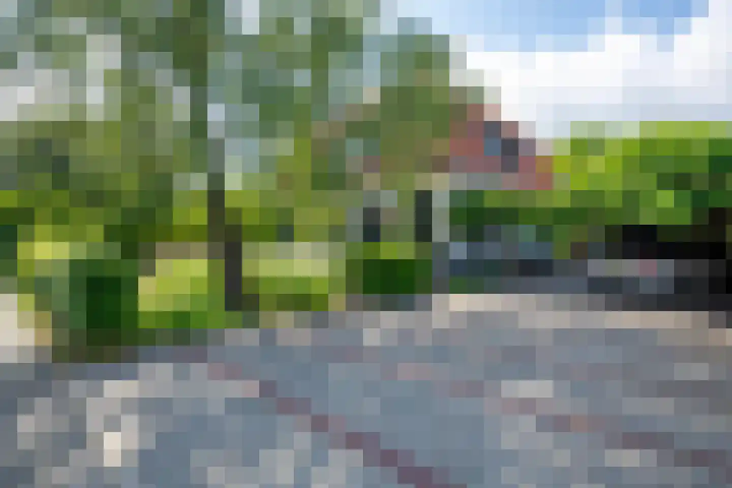Koninginnelaan 12 Voorthuizen thumbnail 42