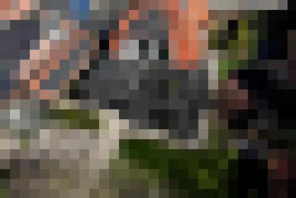 Koninginnelaan 12 Voorthuizen thumbnail 45