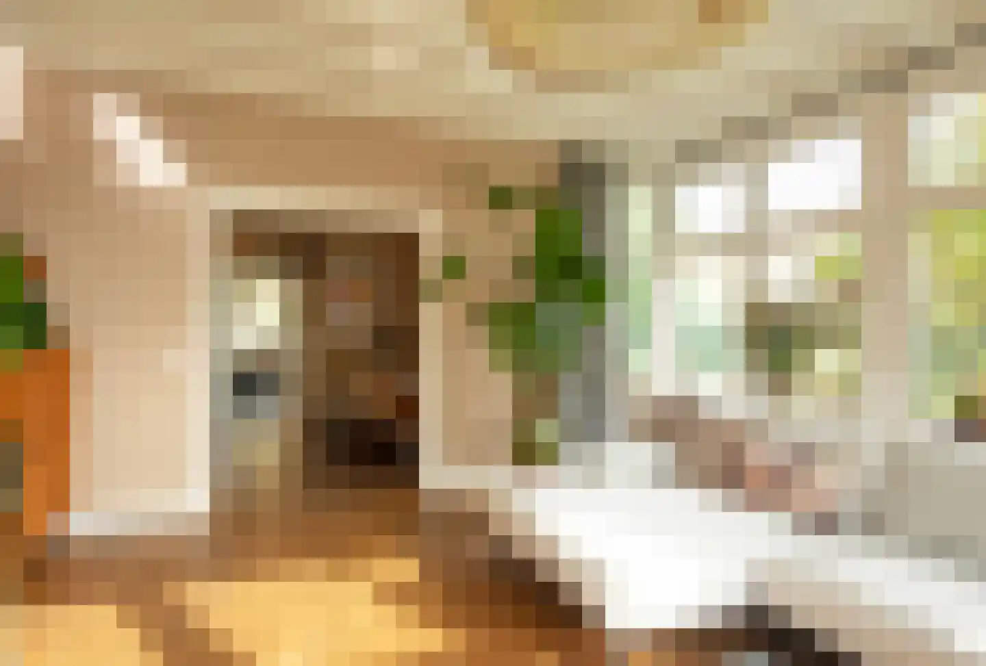 Koninginnelaan 12 Voorthuizen thumbnail 5