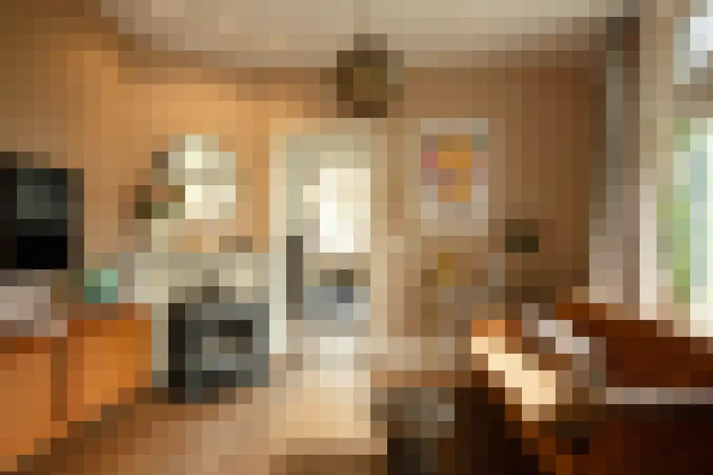 Koninginnelaan 12 Voorthuizen thumbnail 7