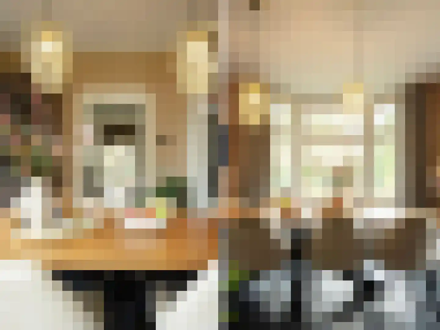 Koninginnelaan 12 Voorthuizen thumbnail 8