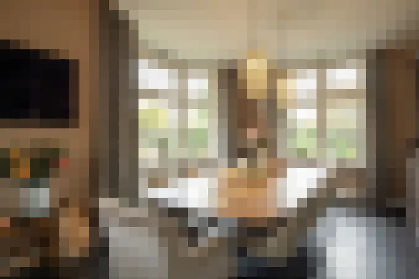 Koninginnelaan 12 Voorthuizen thumbnail 9