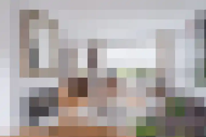 Koninginnelaan 120 Sint-Oedenrode thumbnail 11