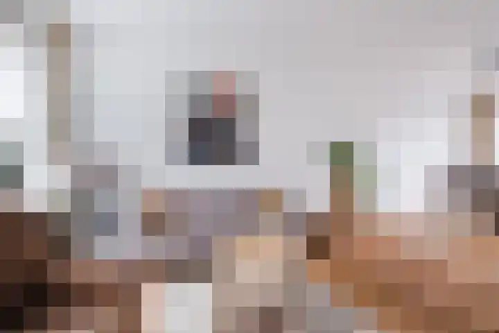 Koninginnelaan 120 Sint-Oedenrode thumbnail 13