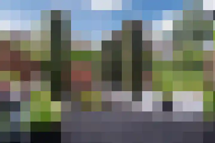 Koninginnelaan 120 Sint-Oedenrode thumbnail 34