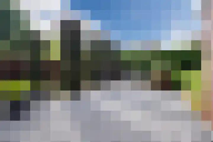 Koninginnelaan 120 Sint-Oedenrode thumbnail 35