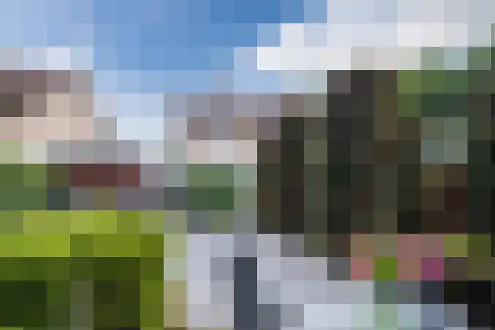 Koninginnelaan 120 Sint-Oedenrode thumbnail 38