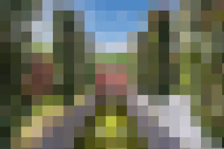 Koninginnelaan 120 Sint-Oedenrode thumbnail 39