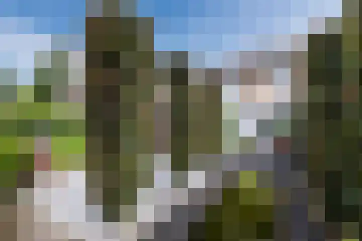Koninginnelaan 120 Sint-Oedenrode thumbnail 40