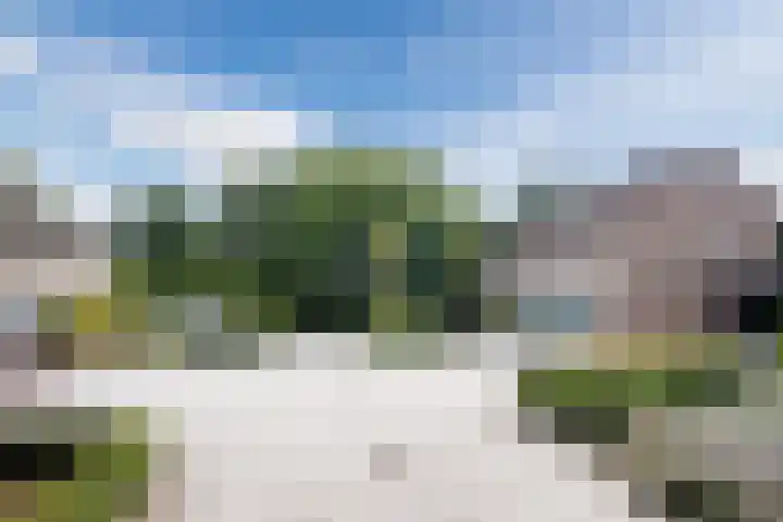 Koninginnelaan 120 Sint-Oedenrode thumbnail 44