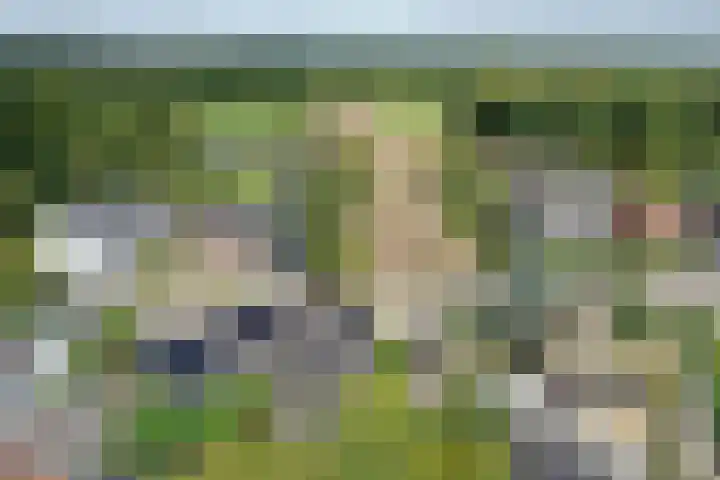 Koninginnelaan 127 Soest thumbnail 33
